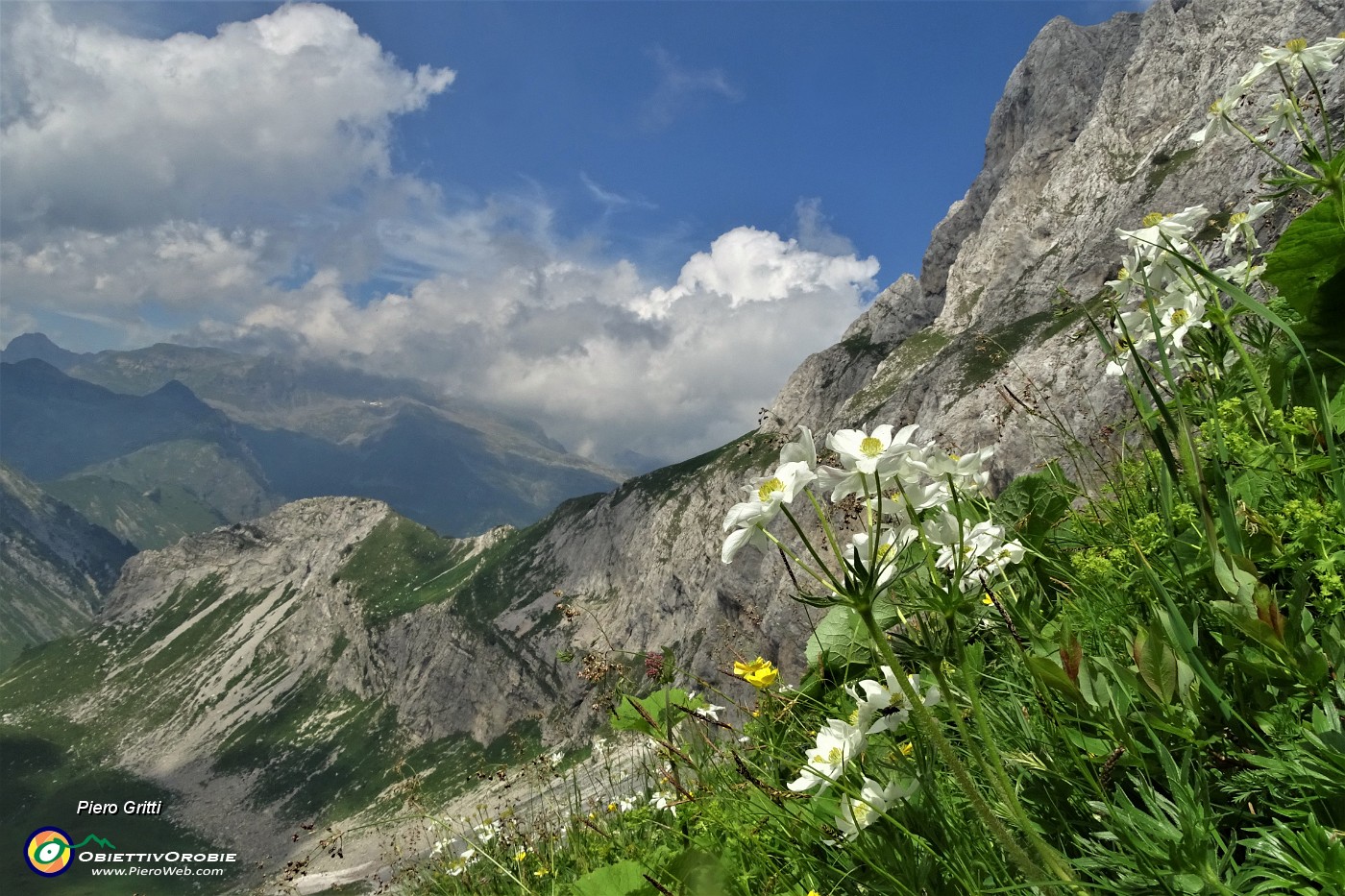 76 Anemone narcissinino (Anemone narcissiflora) con vista sulla Corna Piana.JPG -                                